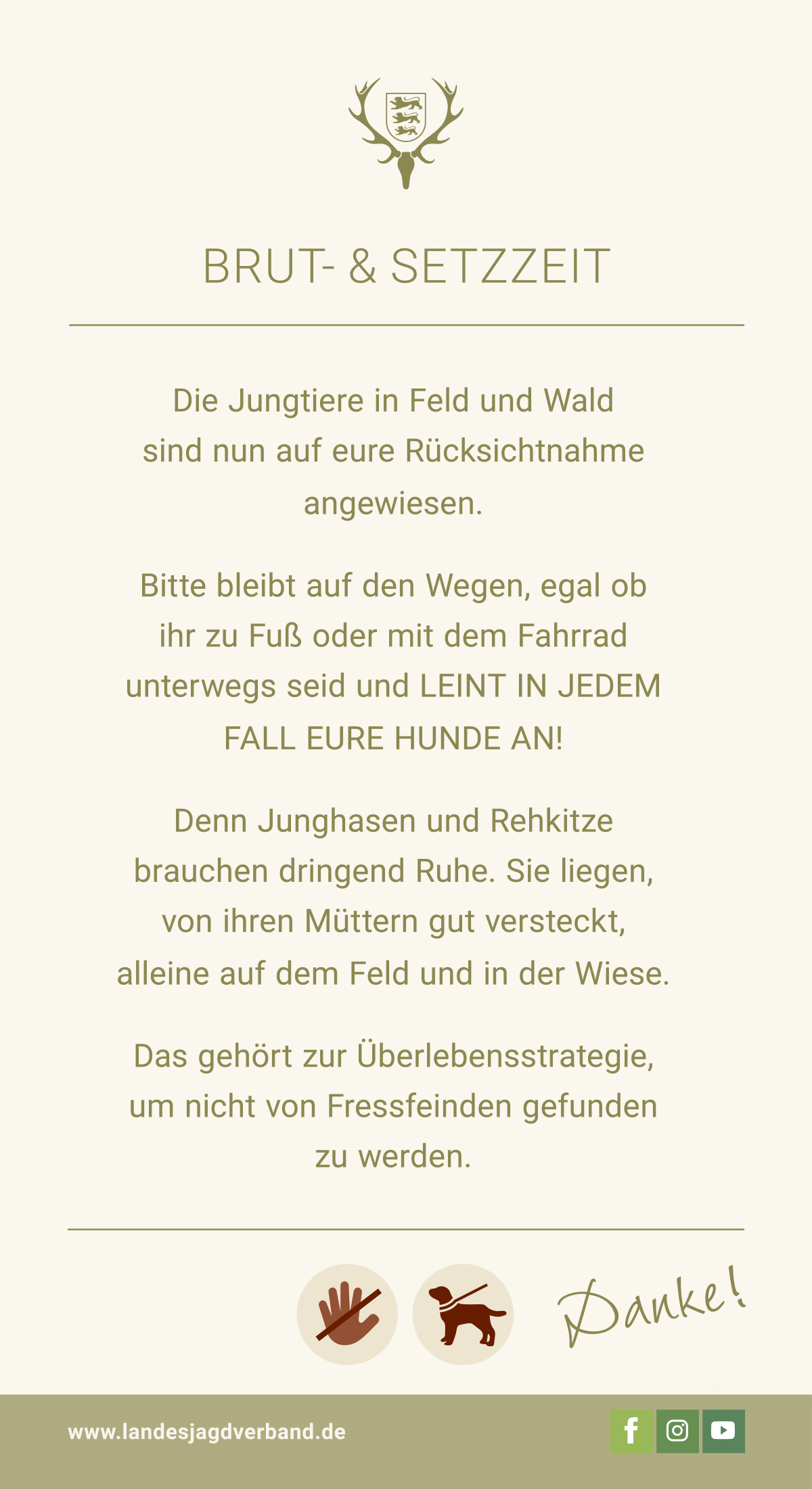 pdf-preview