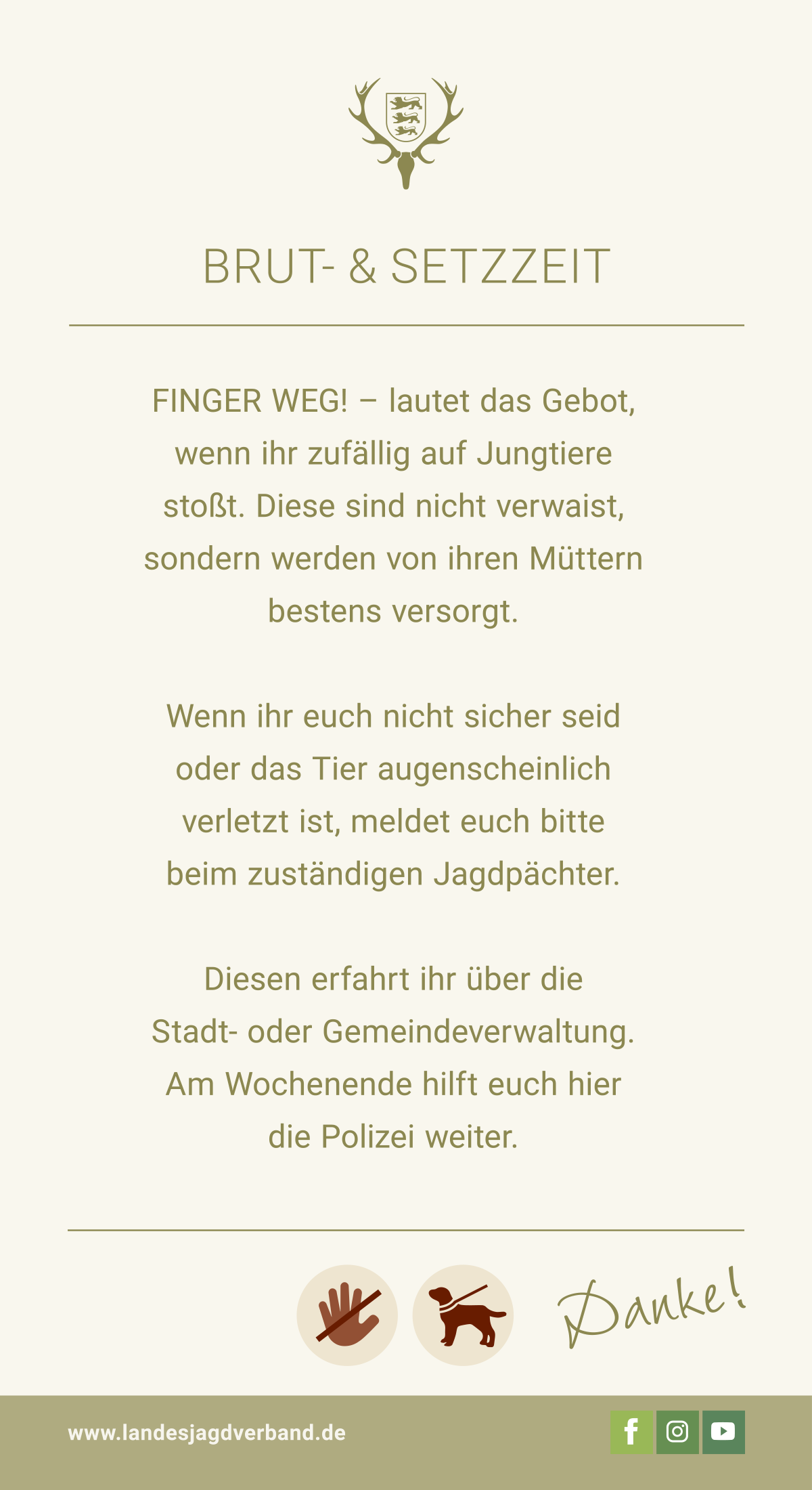 pdf-preview