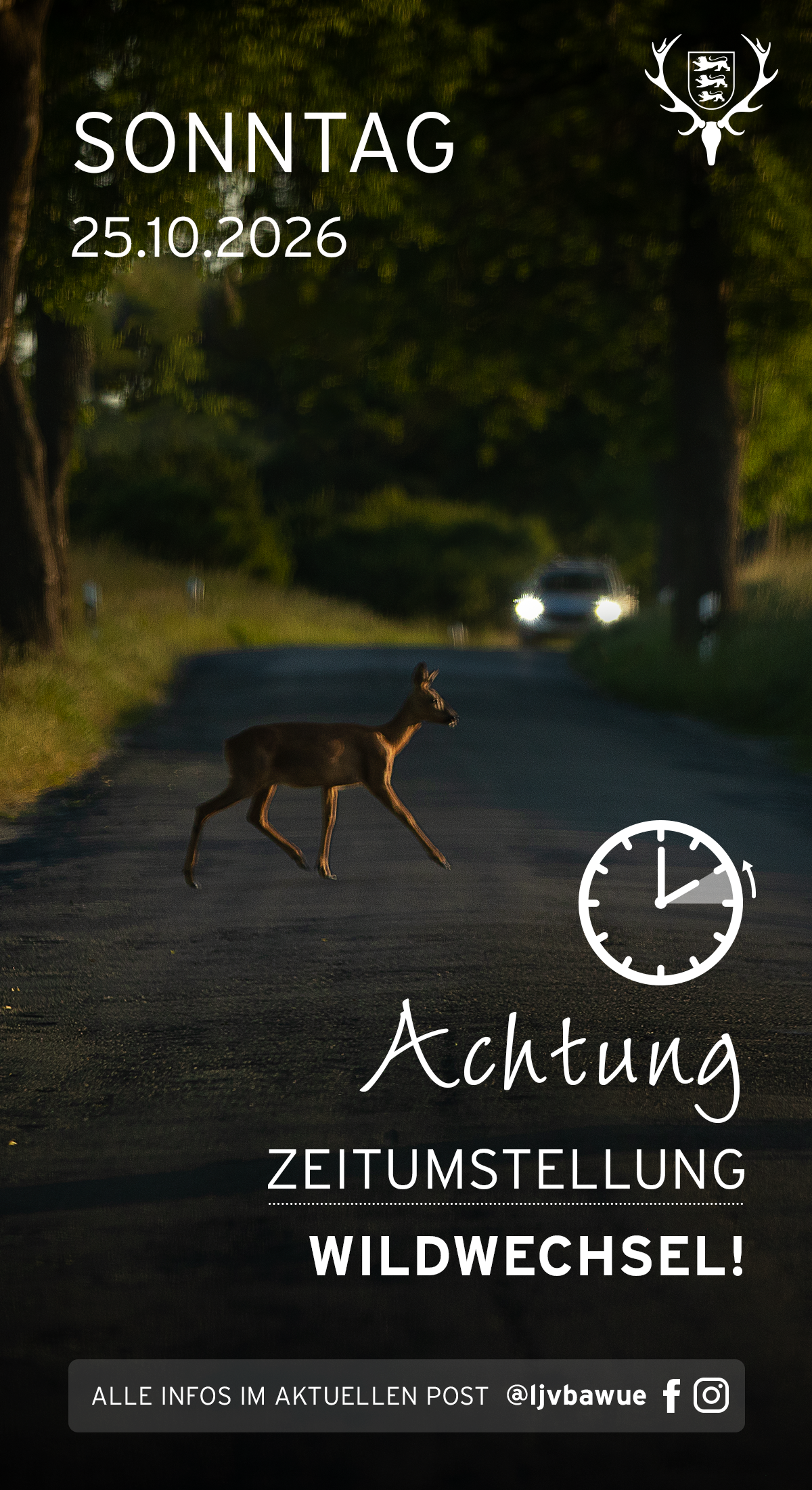 pdf-preview