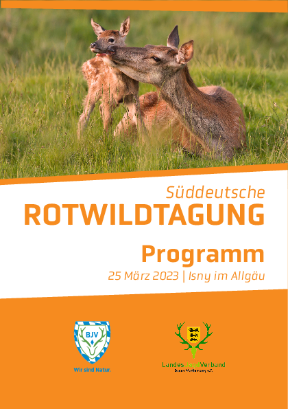 pdf-preview