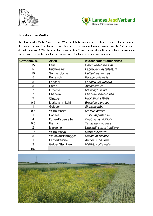 Blühbrache Vielfalt pdf-preview