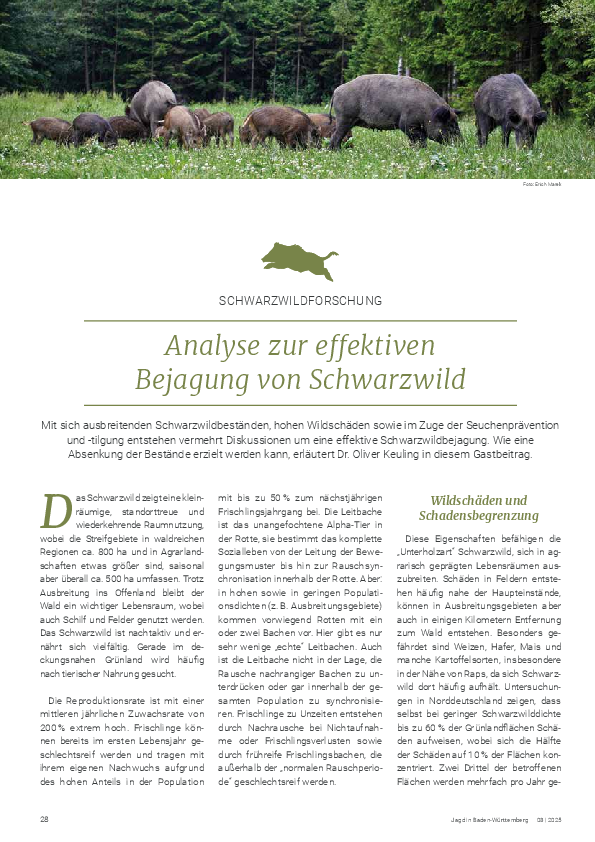 pdf-preview