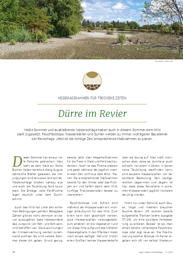 pdf-preview