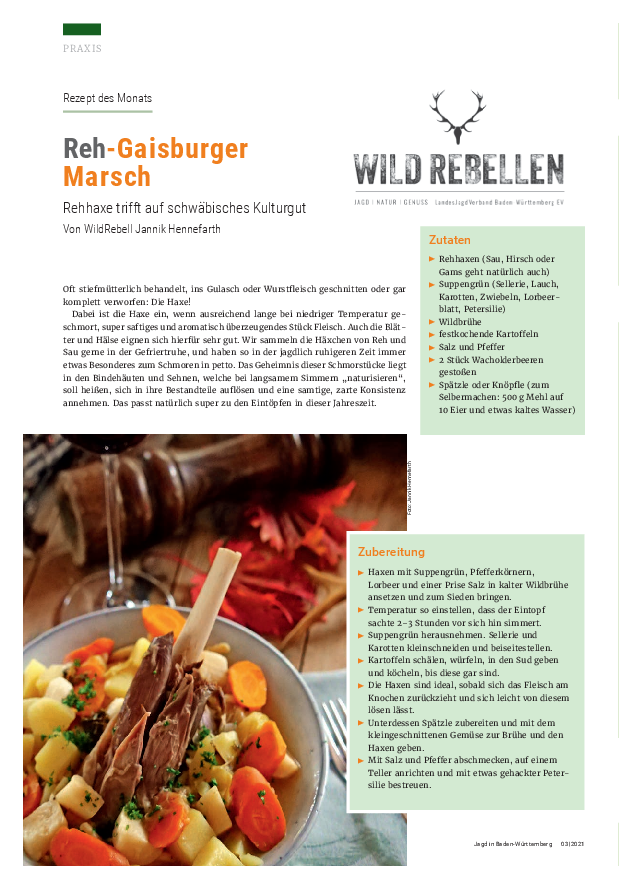 pdf-preview