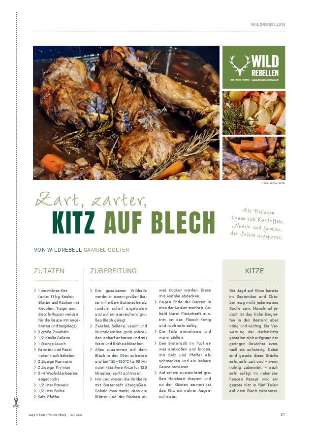 pdf-preview
