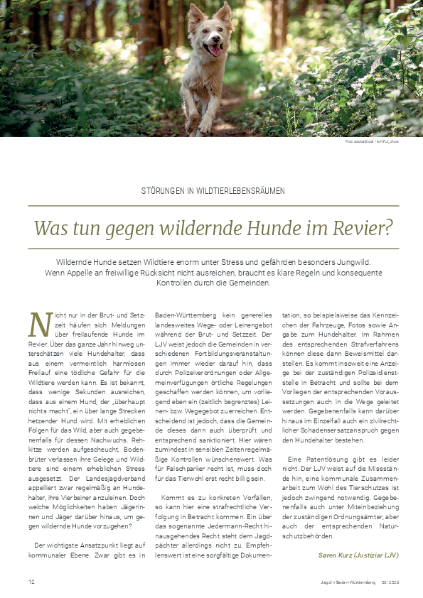 pdf-preview