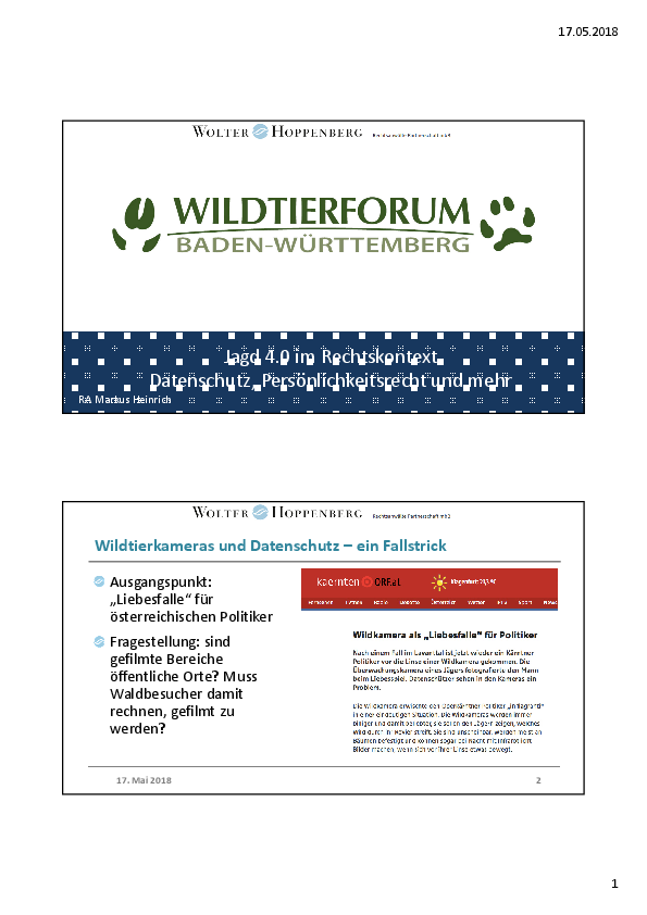 pdf-preview