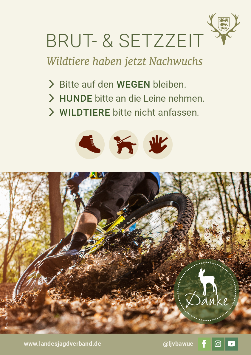 pdf-preview