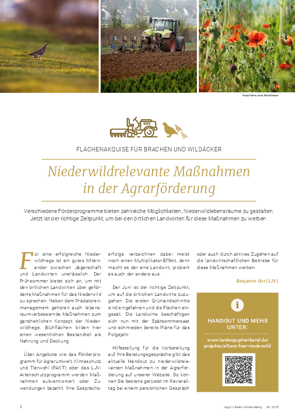 pdf-preview