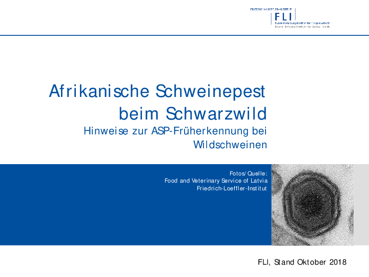 pdf-preview