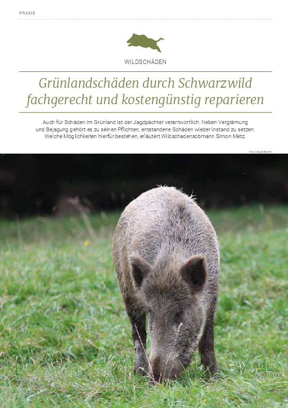 pdf-preview