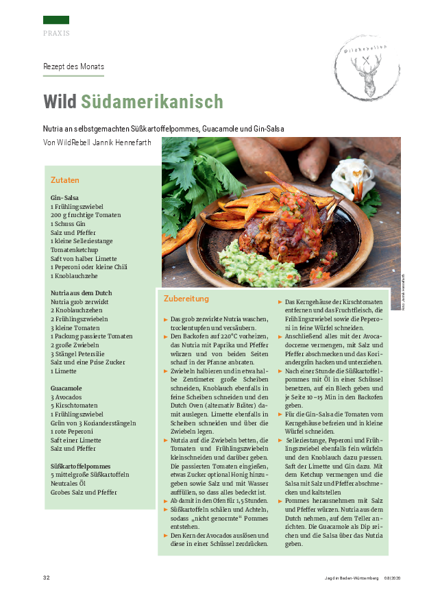 pdf-preview