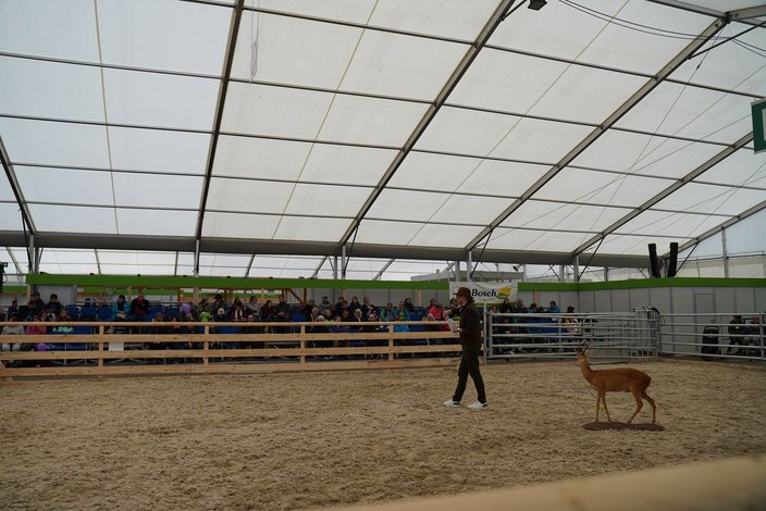 Tobias Rommel im "Forum Tierzelt" zum Thema Jagd und Waidwerk