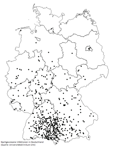 Neue Studie zum Fuchsbandwurm - Landesjagdverband Neue Studie zum Fuchsbandwurm - Landesjagdverband