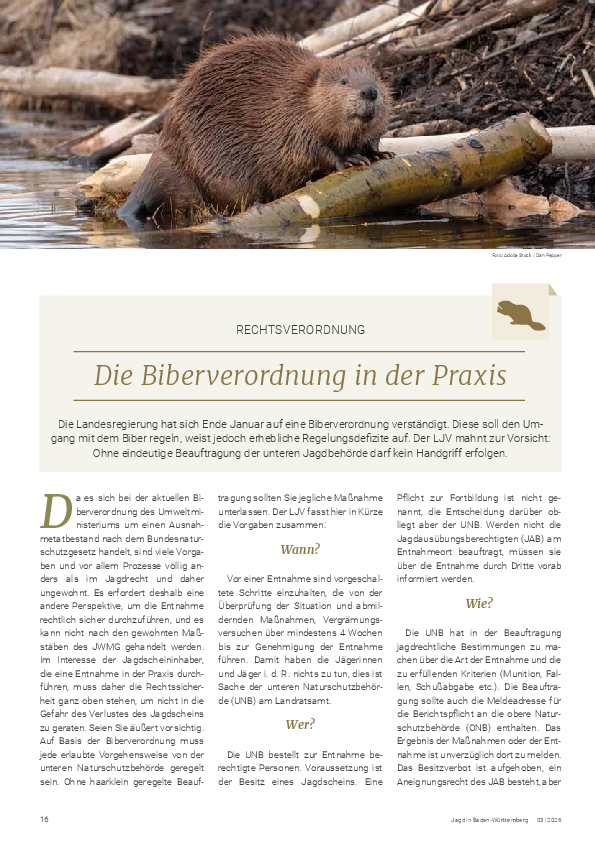 pdf-preview