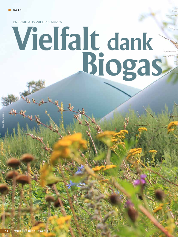 pdf-preview