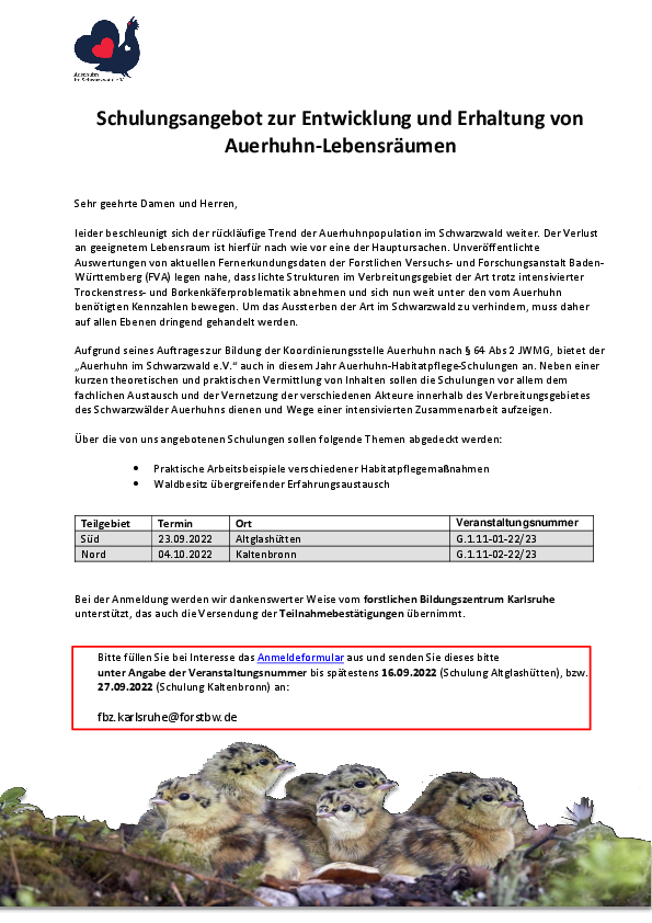 pdf-preview