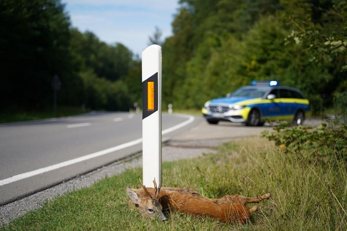 Foto: C. Oesterreich