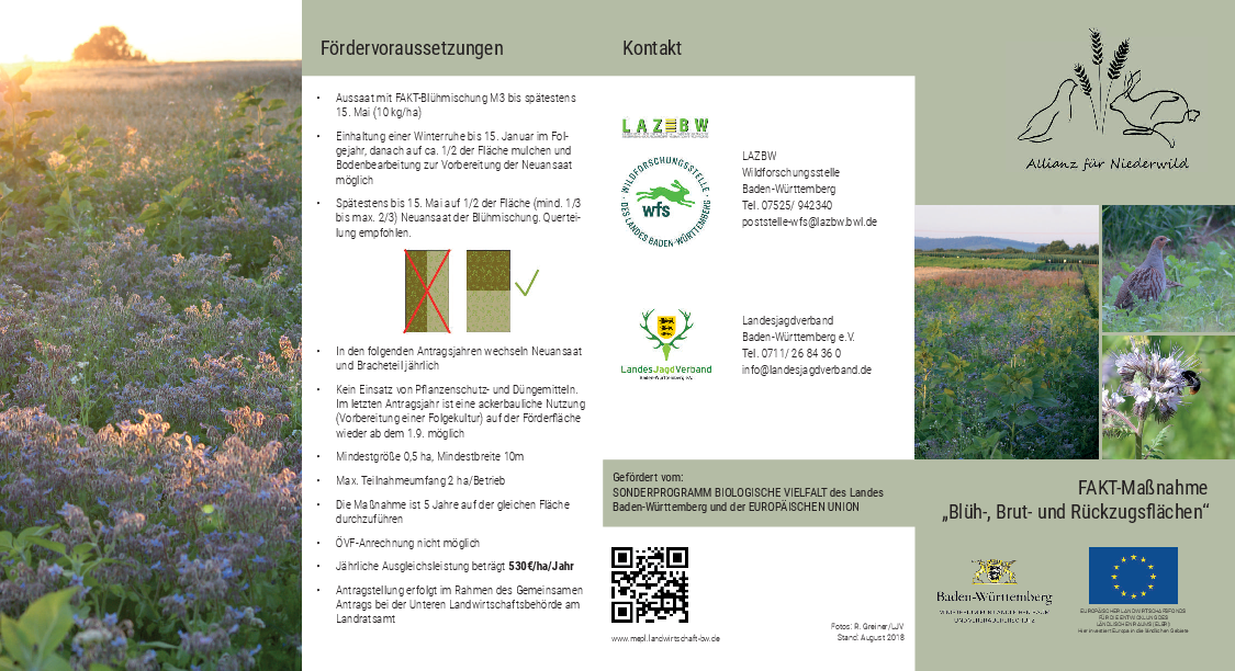 pdf-preview