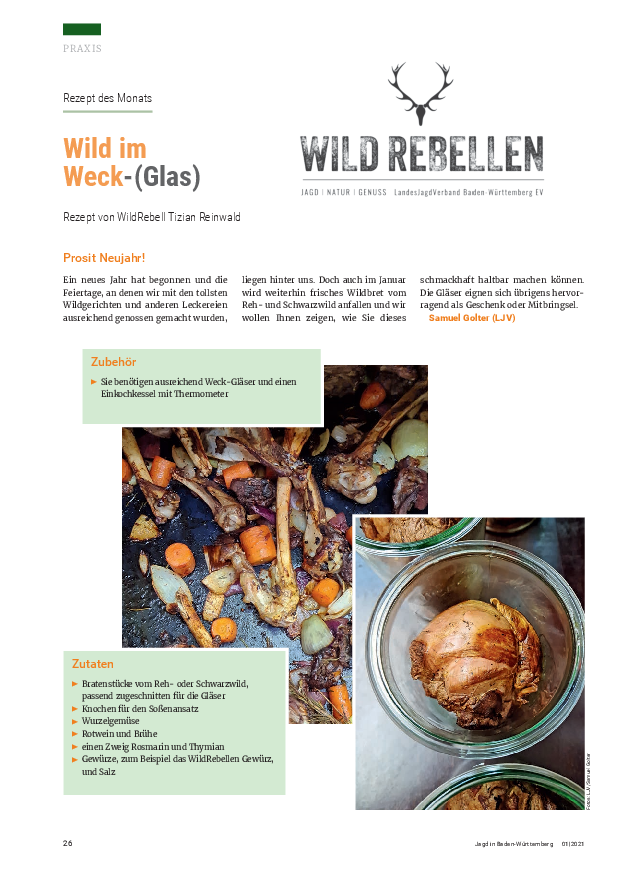 pdf-preview