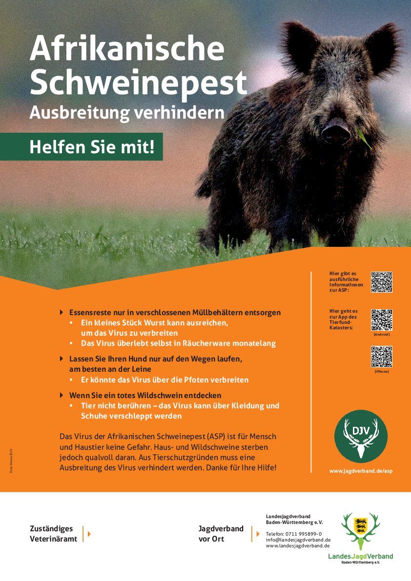 pdf-preview