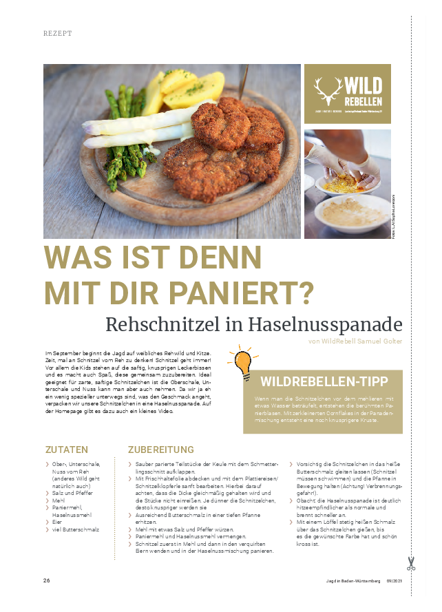 pdf-preview