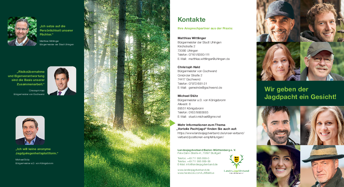 pdf-preview