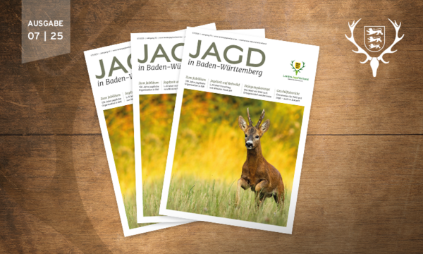 Zeitschriften "JAGD in Baden-Württemberg" liegen auf Holztisch. Ein Rehbock sitzt im Blumenfeld auf dem Titelbild. Links oben steht: "AUSGABE 07 | 25". Rechts ist ein Wappen mit Hirschgeweih.