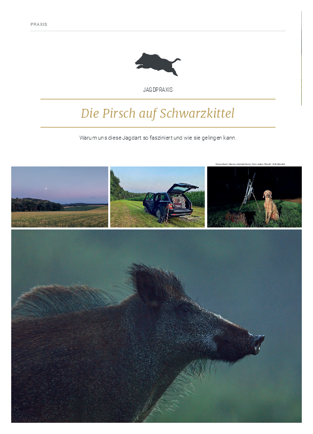 pdf-preview