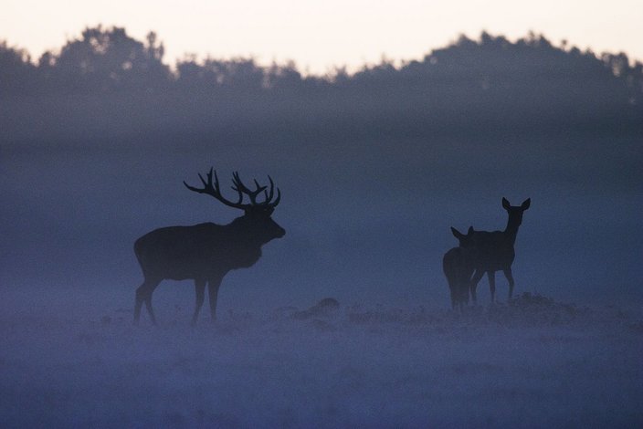 Foto: Erich Marek