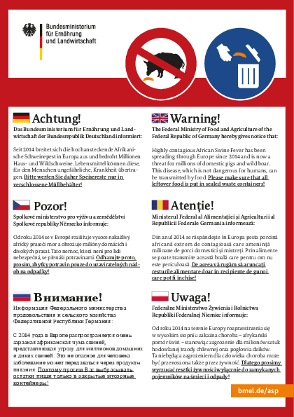 ASP-Flyer pdf-preview