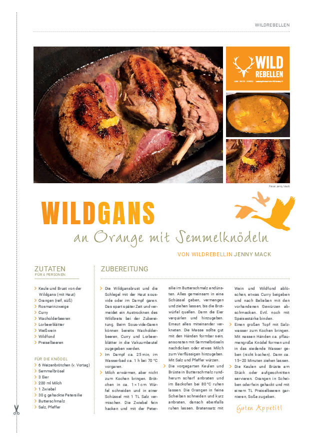 pdf-preview