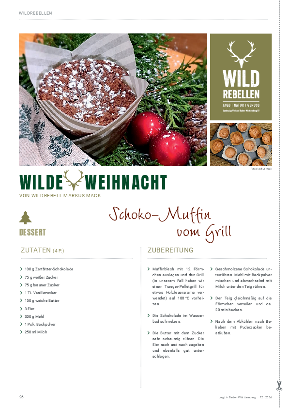 pdf-preview