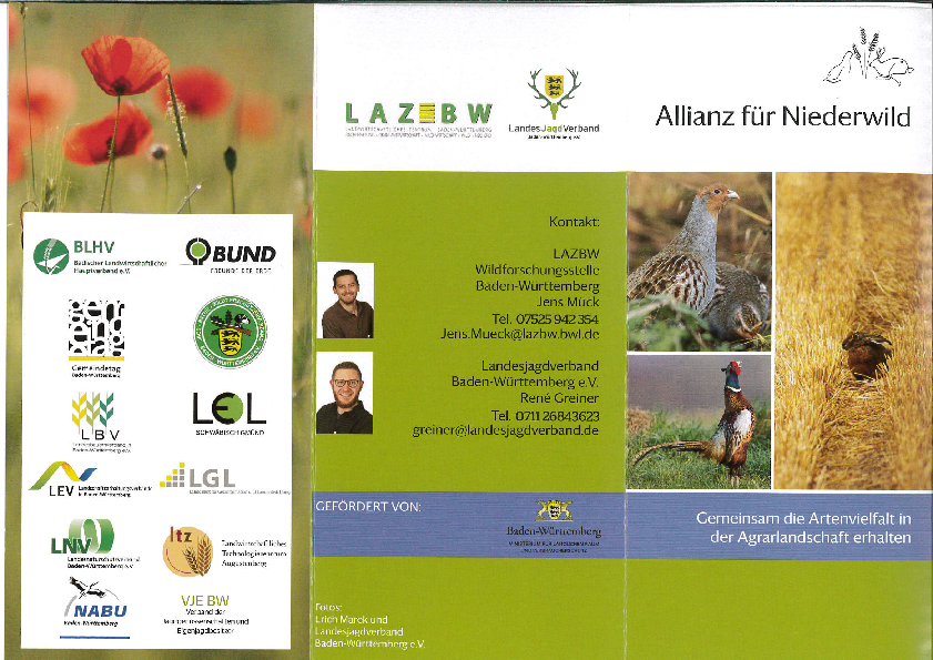 pdf-preview