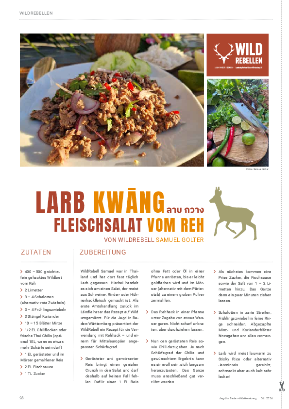 pdf-preview