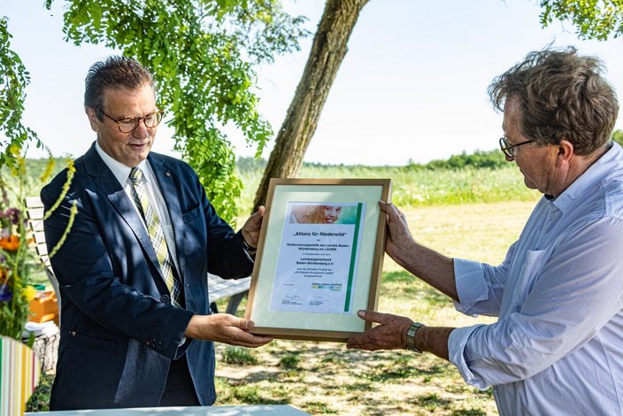 Foto: Tobias Grosser
