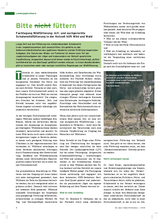 pdf-preview