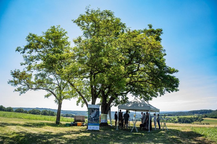 Foto: Tobias Grosser