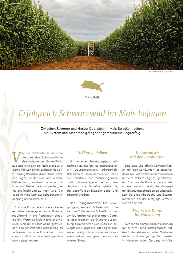 pdf-preview