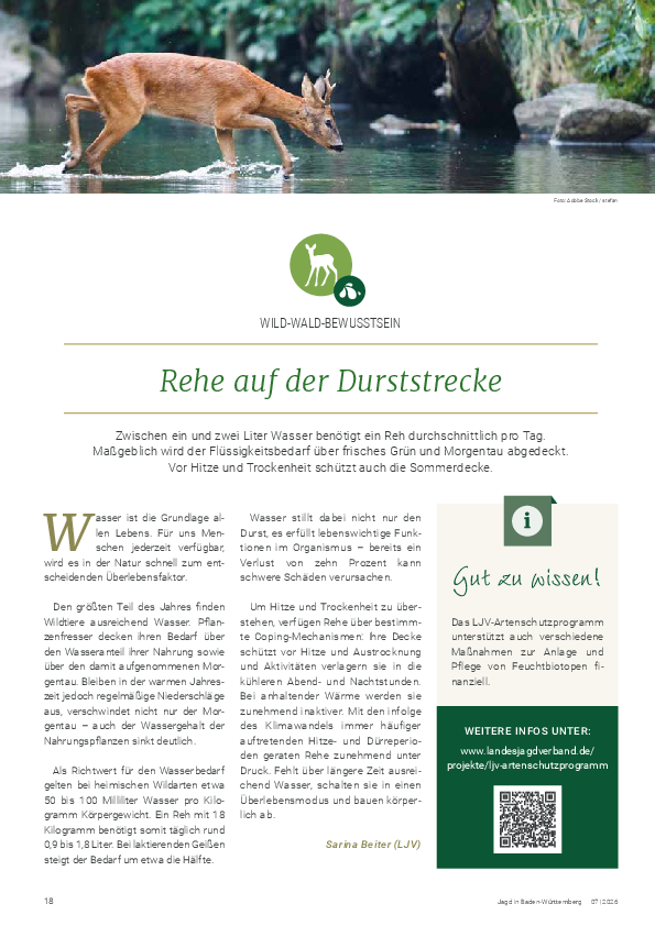 pdf-preview