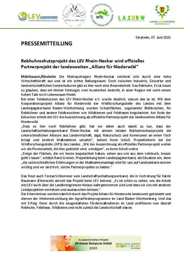 pdf-preview