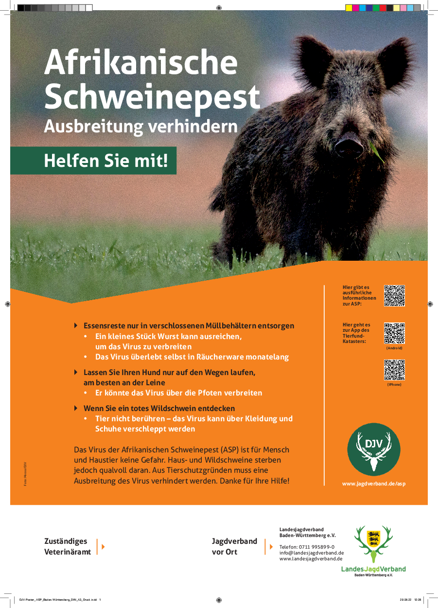 pdf-preview