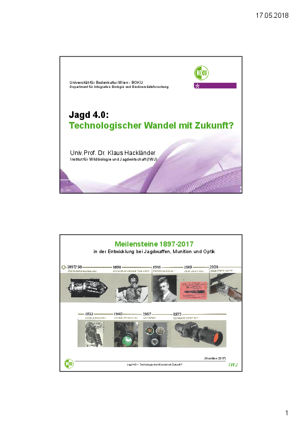 pdf-preview