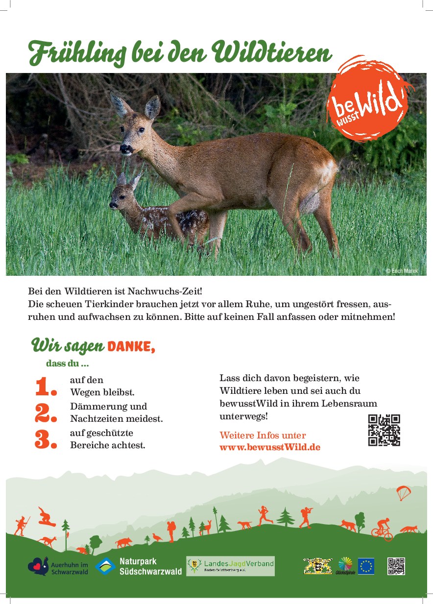 Plakat: Brut- und Setzzeit pdf-preview