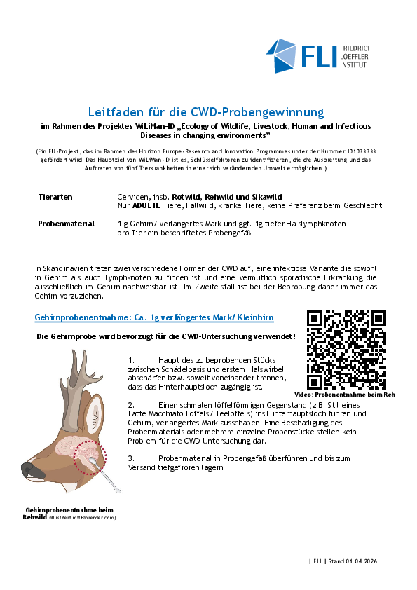 pdf-preview