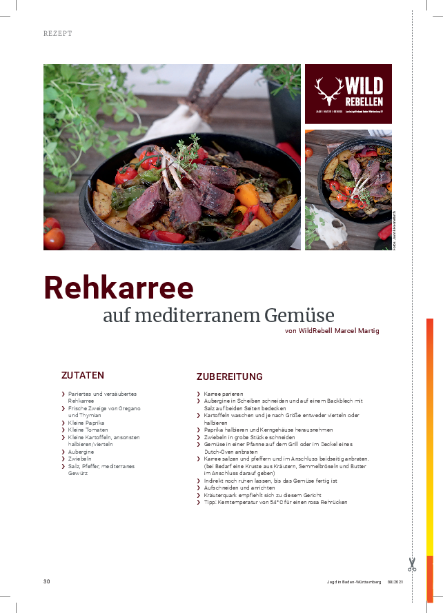 pdf-preview