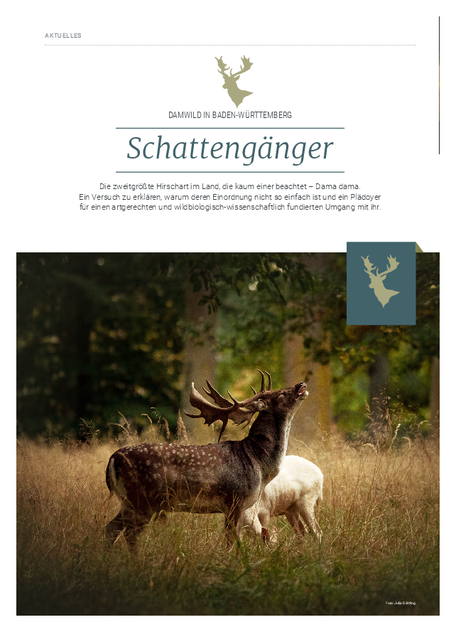 Schattengänger_Damwild in BW pdf-preview