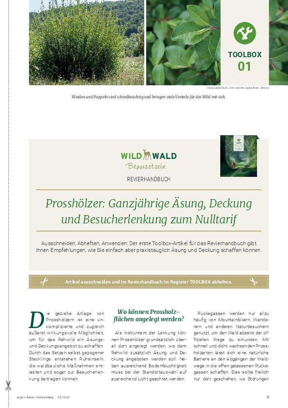 pdf-preview