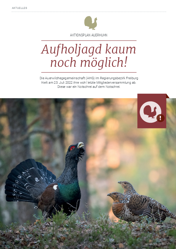 pdf-preview