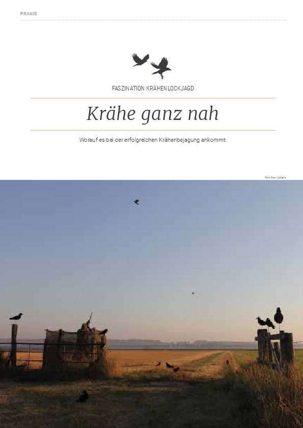 pdf-preview